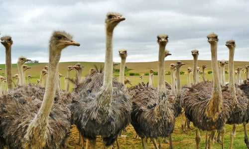 Someone Taking The Easy Route like Everyone Else